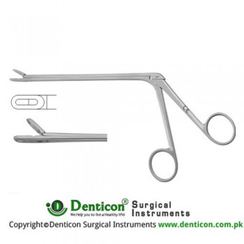 Leminectomy Rongeur Straight - Fenestrated and Serrated Jaws Stainless Steel, 15.5 cm - 6" Bite Size 6 x 16 mm 